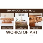 Y153 Shamrock Open Hull 